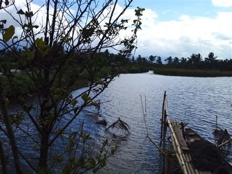 Property For Sale in Magallanes, Agusan del Norte .